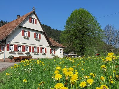 Brujosenhof in Oppenau im Schwarzwald