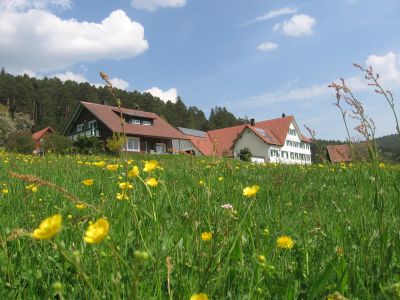 Der Labbronnerhof in Baiersbronn