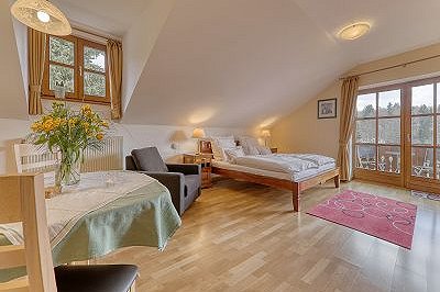 Appartement de vacances Haus Jägerfleck, Studio Predigtstuhl, Forêt bavaroise